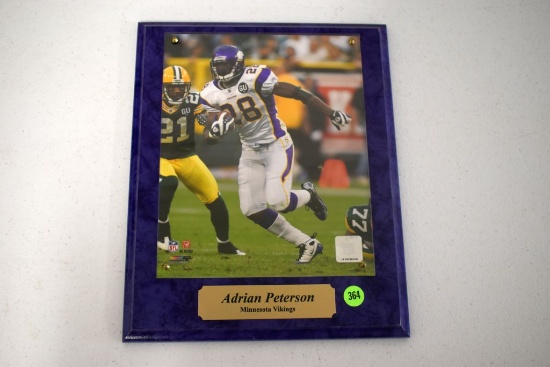 Picture Of Adrian Peterson