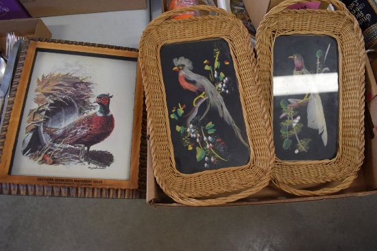 Bird Feather Pictures, Pheasant With Dodge Center Advertising