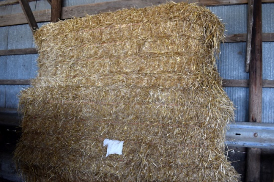 (2) 3x3x7 Straw Bales, Oat Straw