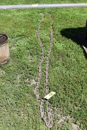 Approx 16' Log Chain With Hooks