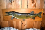 Old Musky Mount
