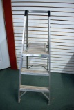 Werner 3' Ladder With Working Platform