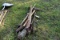 Garden Tools