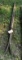 Vintage Wooden Skis