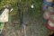 5 Urn Plant Stands