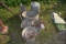 Silage Bucket, Galvanized Cooler & Bucket, Mailbox