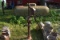 Red Jacket Well Pump
