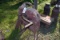 Corn Sheller
