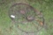 (2) Steel Wheels