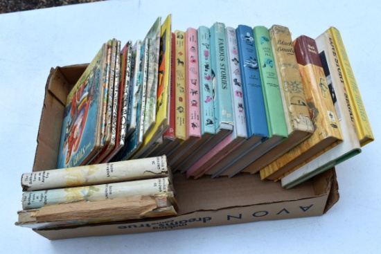 Assortment Of Hardcover Childrens books
