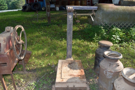 Champion Platform Scale