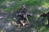 Trolley