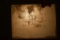 Glass Negative Of  Andres Thoreson Home Section 28 Warsaw Twp & Family Photos