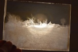 Glass Negatives Of Three Farms After Damage Or Storm (One Is Broken)