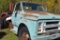 1967 Chevy Truck C50 Nice cab, nice interior, good tires, no box, good body,