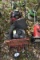 Snapper 3 In 1 Lawnmower With Dethatcher, motor stuck