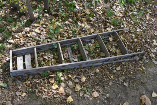 Wooden Step Ladder