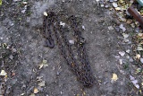 Log Chain With 2 Hooks