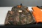 Redhead Reversible Camo Blaze Vest (XL), Real Tree Camo Blaze Vest (XXL)