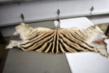 Zebra Hide (back end) including tail, 44