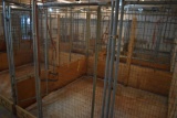(8) 8'x8' pens, wire panels with steel tubes, wooden bottoms, Located Building 8