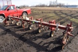 Noble Row Crop Cultivator, 6 Row 30