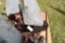 Aeromotor B602 Gear Box