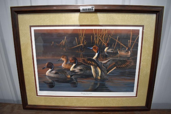 Ducks Unlimited "Morning Procession" by Cynthia Fisher Number 1518 of 4800, 30" x 23"