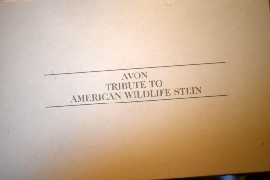 Avon Steins