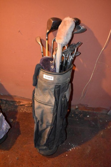 Assorted Golf Clubs with bag