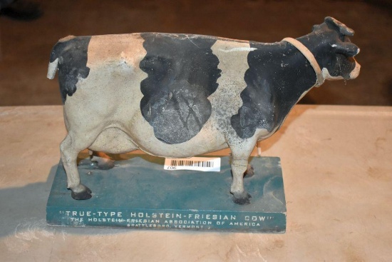 Holstein Frisian cow has damage