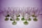 15 Stemmed wine glasses