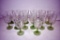 15 Stemmed wine glasses