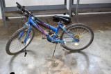 Roadmaster 15 speed, Girl's Bike, needs work