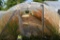14'x45' hoop greenhouse with fan, Buyers responsible for removal, must be removed by
