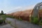 27'x96' hoop greenhouse with two fans, Buyers responsible for removal, must be removed