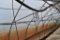 Approx.. 150' of hanging water hose with irrigation lines in 3 sections, located in GH 52