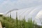 27'x96' hoop greenhouse with two fans, Buyers responsible for removal, must be removed