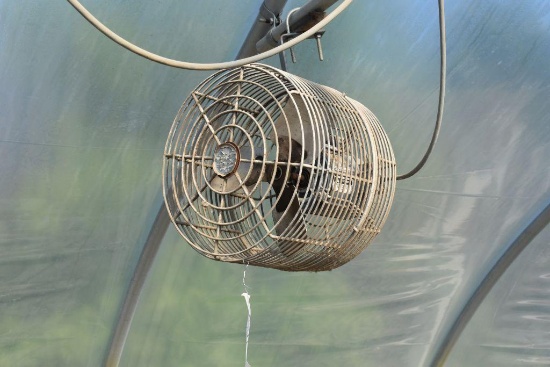 12" hanging fan , located in GH 197