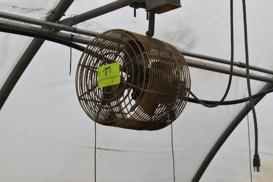 12" hanging fan, located in GH 71