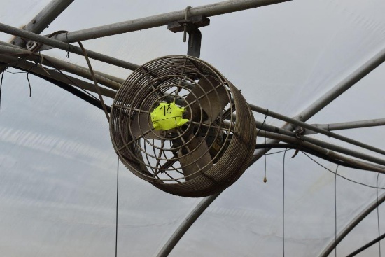 12" hanging fan, located in GH 71