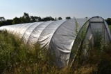 14'x96' hoop greenhouse with fan, Buyers responsible for removal, must be removed by