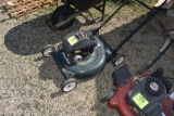 Murray with Briggs&Stratton 158cc, 22