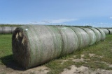 (6) Round Bales of Grass Hay Selling 6x$