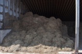 Chopped Bales of Hay and Square Bales in Commodity Shed Approximately 25 Chopped Bales