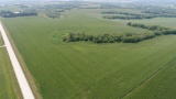 Parcel/Lot 3 - 147.62 Acres Of Bare Crop Land, In Section 13, Minneola Township, Goodhue Co. MN