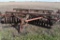 Massey Ferguson 14' Tandem Disc, In Transport, No Hyd. Cylinder