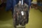 Cabela's dry plus 2XL Reg jacket