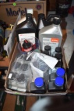 2 Cycle Oil and assorted motor oil