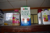 Assorted plant foods